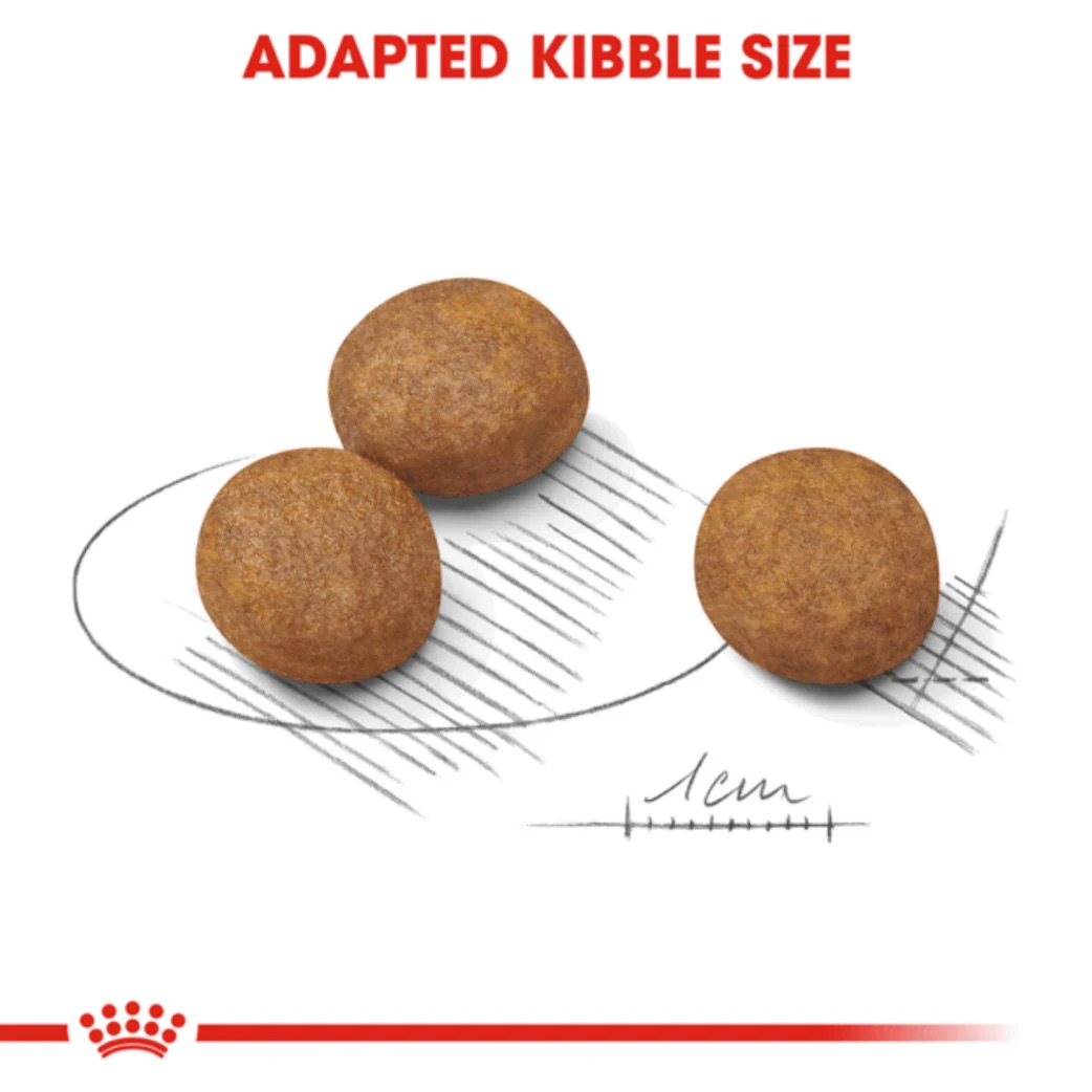 Royal Canin Maxi Puppy Dry Dog Food (4 Kg)