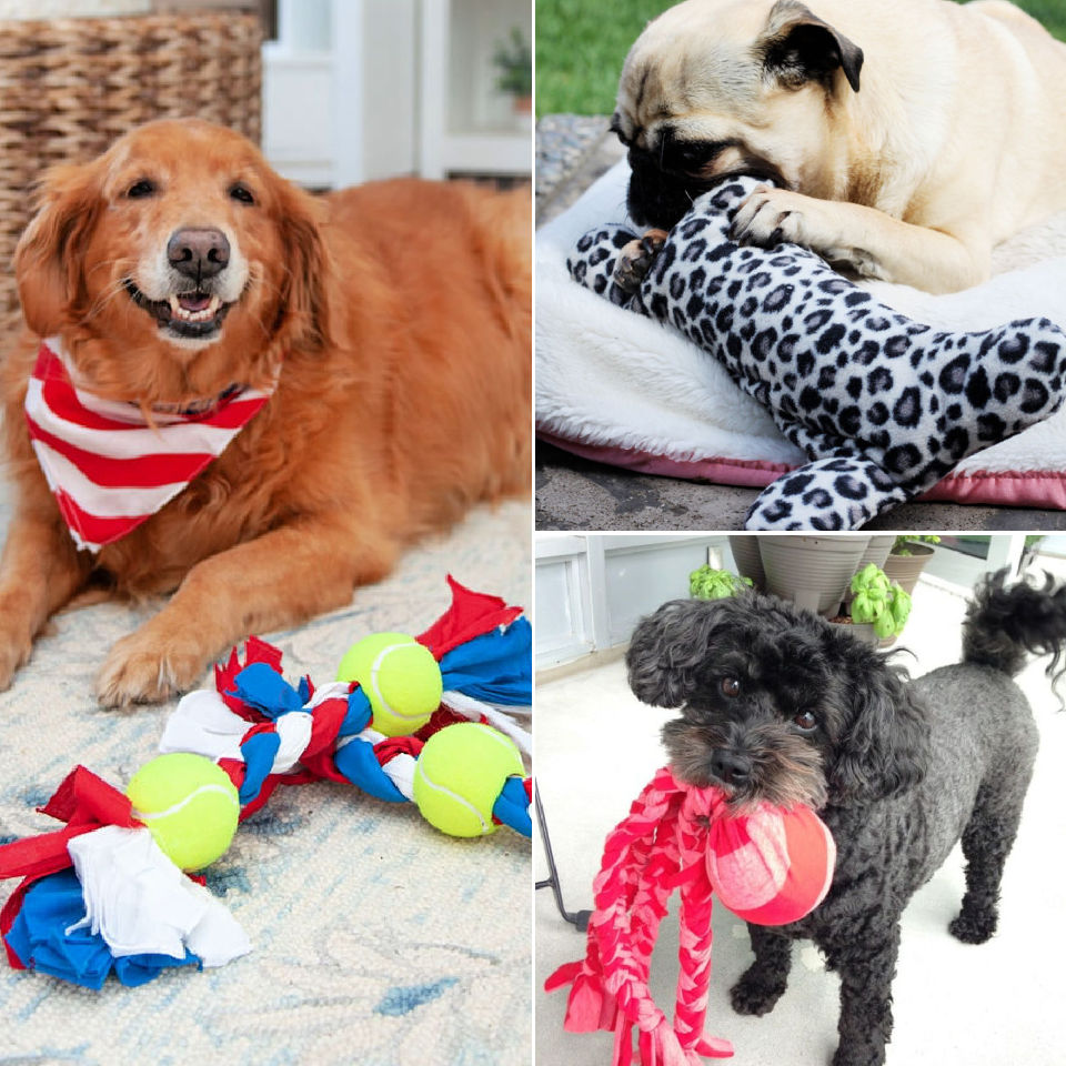 Pet Toys DIY Crafts